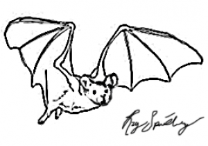 Spielberg Bat